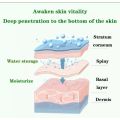 Aloe Vera Gel Pelembab Gel lidah buaya perawatan wajah. 