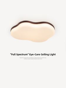 NSWR | Retro Walnut Color Eye-Protection Ceiling Light