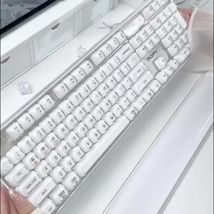 Mofii | Tri-mode Wireless RGB Transparent Keyboard