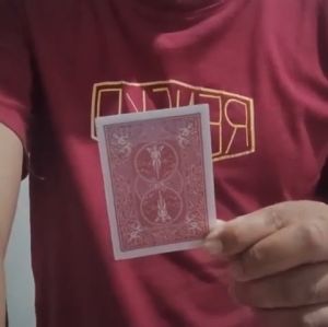 Alat Sulap Kartu Berubah Warna Change Card - KZ268