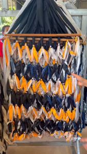 เปลนอนผู้ใหญ่ BT8 เปลญวนแบบมีไม้ รับน้ำหนักได้ 120 Kg.แข็งเเรงใช้ได้นาน นอนสบายไม่ปวดหลัง