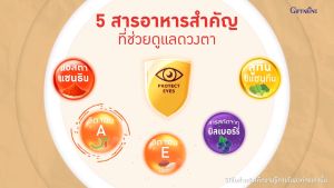 ดูแลสายตา บำรุงสายตา อาหารเสริม ลูทีน ซีแซนทีน ผสมวิตามินเอ ชนิดแคปซูล LZ Vit 3X กิฟฟารีน ดูแลดวงตา