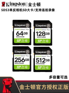 Kingston High Speed Memory SD Card for DSLR Camera 128GB 256GB 64GB Storage Card Fast Read Write Compatible with Canon Nikon Sony