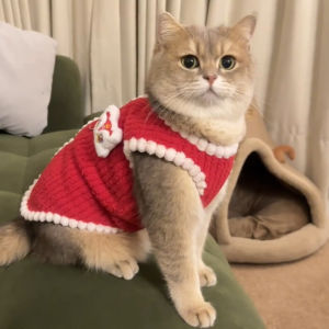 Warm Winter Pet Clothes for Cats And Dogs Red New Year Celebration Lion Wake up Costume Blue Cat Golden Gradient Dog Toy