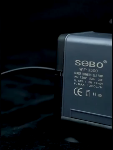 SOBO Mini Submersible Fountain Pump Aquaponic WP-3100 ~WP-3500 Pam Air Kecil Akuaponik