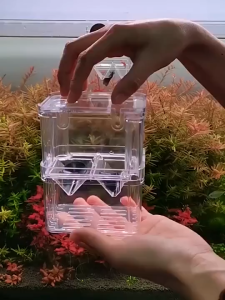Isolation Box for Aquariums Acrylic Transparent Double Layer Incubator Hatching Box