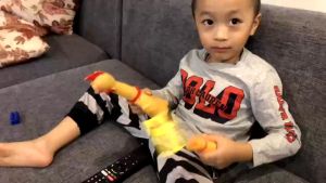 Đồ chơi gà hơi gà bóp kêu gà phát tiếng kêu Shrilling Chicken gà A Lử đồ chơi cho thú cưng trẻ em