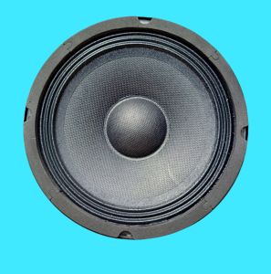 LOA BASS 20 HÀNG NHẬP KHẨU COIL 25.5 CS 200W