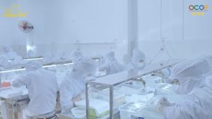 Hộp Quà Tặng Yến Sào Hoàng Kim (08 hũ x 70ml) Chưng Sẵn Đậm Đặc Mix Vị (Không đường và Đường Phèn) Công thức truyền thống - Không Chất Bảo Quản