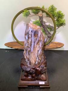 TSK Crystal SHY034 天然树化玉 黄里透白 色泽圆润 特制雕刻实木底座 Natural Tree Fossil Jade