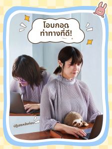 Sonny Angel | Office Posture Correcting Sloth Plush Toy