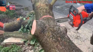 Máy cưa xích chạy xăng KOMASSU nhập khẩu nhật máy đầy đủ phụ kiện Lam dài 55cm Máy cắt siêu khỏe