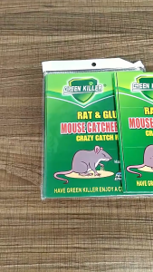 【✅SG stock】Strong Mouse Trap Glue Board / Rat Glue Trap / Sticky Glue Board / No Poison Rodent Catcher