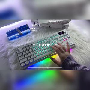ESPORTS LIVNG MUSEUM | Custom Gasket Structured Wireless Mechanical Keyboard
