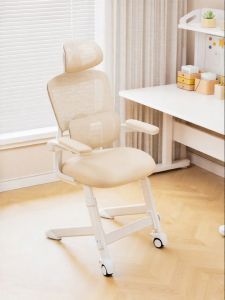 ZHIXUEKU | Adjustable Ergonomic Spine-Protecting Study Chair
