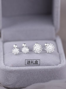 925 Pure Silver Dandelion Screw Back Earstuds for Women Sleep-Friendly No Removal Required 2024 New Arrival Trendy Silver Jewelry INS