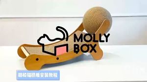 Round Extra Large Cat Bed with Durable Rope and Corrugated Paper Scratching Board