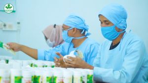 Obat Herbal Kolesterol Darah Tinggi Serta Lemak Darah Hipertensi Ampuh