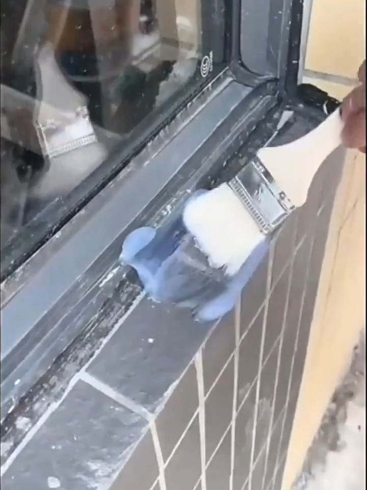 🔥Stop The Leak Immediately🔥Transparent Waterproof Glue 1KG with tools Waterproof Coating Premium Ultra-Clear Waterproof Sealant Glue Leakproof Repair for Roof Cement Walls Tiles Plywood Concrete Cracks Water Proofing Clear Paint Water Proof Glue