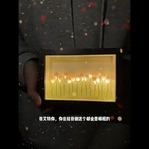Đèn Ngủ Hoa Tulip Trang Trí Trong Khung Ảnh Đèn Decor Trang Trí Handmade Đồ DIY Quà Tặng Sinh Nhật Dịp Lễ Đặc Biệt