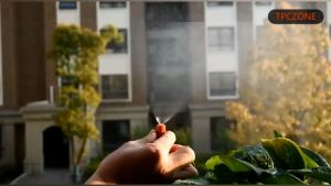 40M/158Pcs Set DIY Garden Micro Drip Irrigation System Automatic Plants Flower Watering Sprinkler Kit