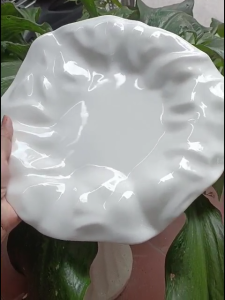 ĐĨA GỐM SỨ  VÀNH CONG LƯỢN SÓNG NGHỆ THUẬT – TỐI GIẢN NHƯNG SANG TRỌNG - Mã DC1-33.