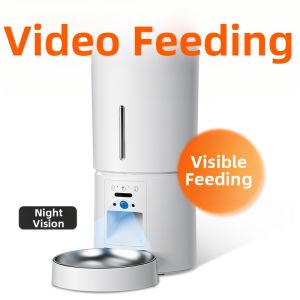 Micky Cat | Smart Visual Timed Feeder