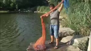 Chài Bắt Cá Cao Cấp Thái Lan Mắt Mau Chân Chì Chuyên Đánh Bắt Thủy Sản chì đúc