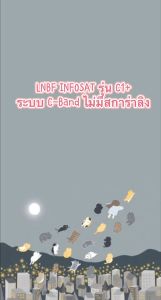 ไม่มีสการ่าลิง LNBF INFOSAT รุ่น C1+ ระบบ C-Band ตัดสัญญาณรบกวน 5G