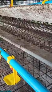 นิปเปิ้ลให้น้ำไก่ 6หุน ให้น้ำไก่อัตโนมัติ ถ้วยให้น้ำอัตโนมัติ นิปเปิ้ลอัตโนมัติ แบบขาตรง ที่ให้น้ำอัตโนมัติสำหรับสัตว์ปีก