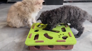 Cat Toy Felt Maze Box Kitten Interactive Toys Scratch Board Exercise Puzzle With Jingle Balls