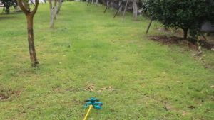 Garden Sprinkler 360° Rotary irrigation system Agricultural irrigation watering tandem sprinkler