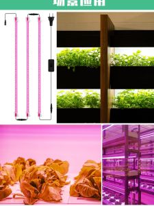 Succulent Special Fill Light with For Home Full Spectrum Plant Growth Light with LED Indoor Coloring Green Plant Anti-Overgrowth