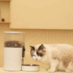 Lovinland Cactus Dog Intelligent Automatic Pet Feeder: Your Ultimate Solution for Timed Feeding