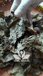 Daun Jati Belanda Kering 1kg Simplisa Bersih & Organik