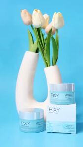 50 GR PIXY WHITE AQUA BRIGHTENING MOISTURIZER / PELEMBAB WAJAH