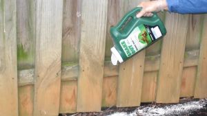 ผงไล่งู สเนค เอาท์ (snake out)