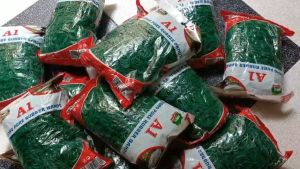 [500g] Dây thun MÀU XANH xuất khẩu nhiều size trung lớn dùng cột tiền cột hàng siêu dẻo dai siêu tiện lợi chất liệu đẹp