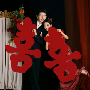 Red Wedding Decoration KT Board Double Happiness Character Stickers Engagement Travel Photography Props Large Calligraphy