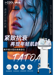 Icool Layered Anti-Aging Facial Tightening Beauty Device High Power 350W Home And Commercial Use Any Skin Type RF Head