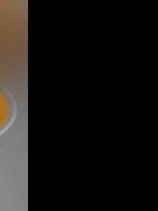 Longhe vivo 80W fast charging intelligent temperature control charger（super VOOC 2.0）