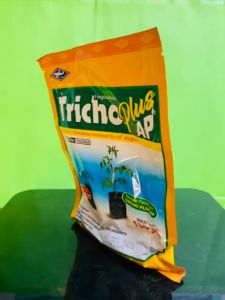 Fungisida TRICHO Plus AP: Solusi Cegah Busuk Batang Dari Cap Kapal Terbang