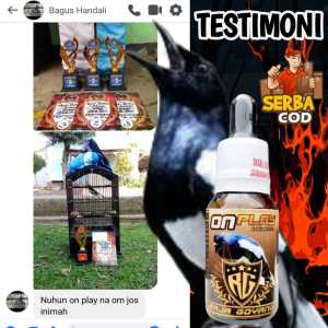 ONPLAY KACER PENGGACOR KACER VITAMIN KACER ONPLAYCheck out VITAMIN KACER TERBARU PENGGACOR KACER ONPLay