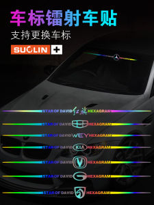 Car Decorative Laser Etched Stickers Scratch Cover Decals for Body Door Rear Windshield Wheel Arches after Wing Car Logo