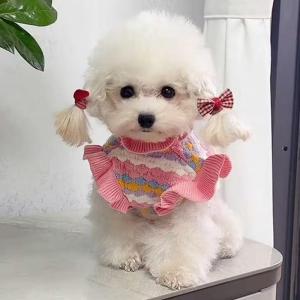 Warmth-Preserving Sleeveless Dog Sweater for Teddy Bichon Pomeranian British Short Hair Kittens Autumn Winter Anti-Dander