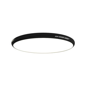 Modern Full Spectrum Ceiling Light