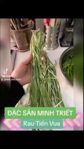 Rau Cung Đình- Rau Tiến Vua (Hàng mới Khô Sạch Thơm) - Rau Cung Đình Trộn Gỏi Làm Nộm- Đặc Sản Minh Triết