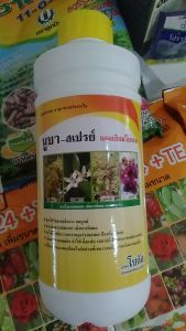 แคลเซียมโบรอน นูบาร์สเปรย์ โซตัส เพิ่มการผสมเกสร ติดผลดก ลดการหลุดร่วงของผล ขั้วเหนียว