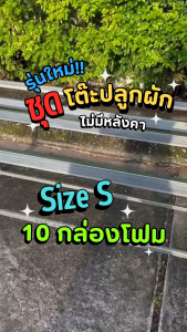 โต๊ะปลูกผักไฮโดรโปนิกส์ สำเร็จรูป (ไม่มีหลังคา) สำหรับวางกล่องโฟม S 10 กล่อง