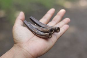 pipa rokok batok kelapa full batok kelapa